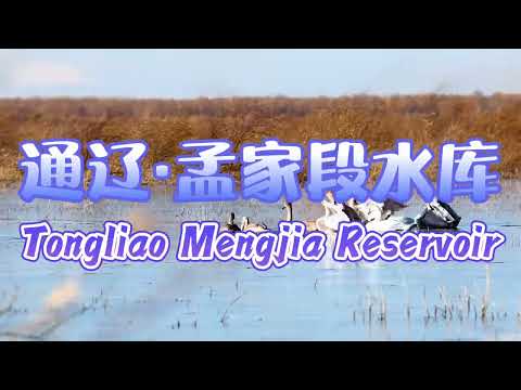 Excursão Mongólia Interior Lago Mengjia Dusha 12