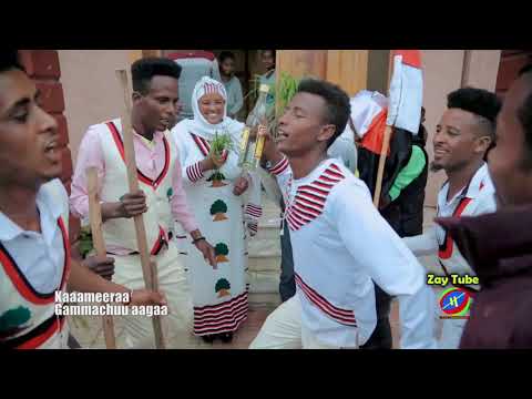 Darajjee Biraanuu - Goobee - Ethiopian music - Affan Oromoo - 2020 video clip