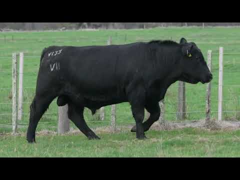 Lot 11  SEVEN HILLS V133 PV