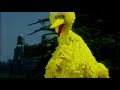 Sesame Street Big Bird Finds A Way To Sing For Darci Lynne
