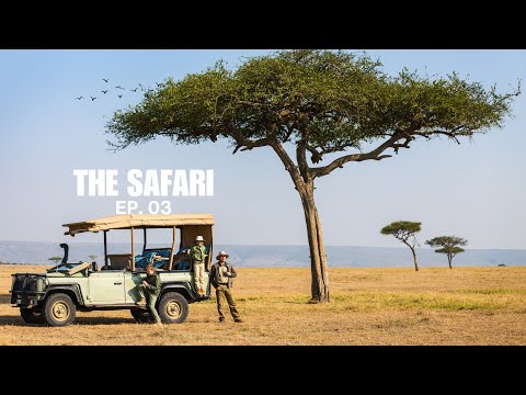 Inglês na prática: Leia, escute e pratique sua pronúncia conhecendo alguns animais do Safari.