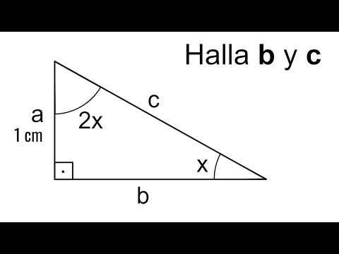 HALLAR LA HIPOTENUSA Y EL CATETO. Trigonometría Básica