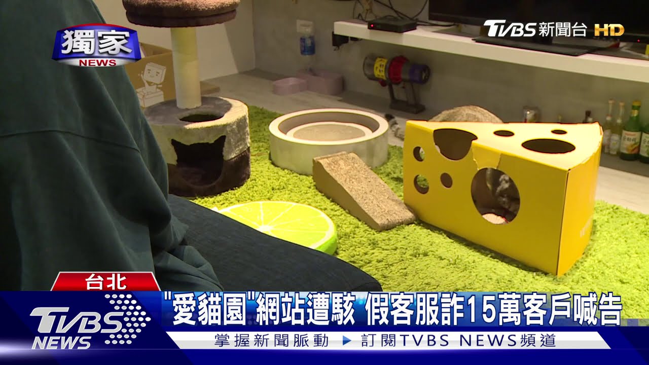 「愛貓園」網站遭駭 假客服詐15萬客戶喊告