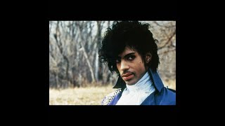 Prince - Groovy potential