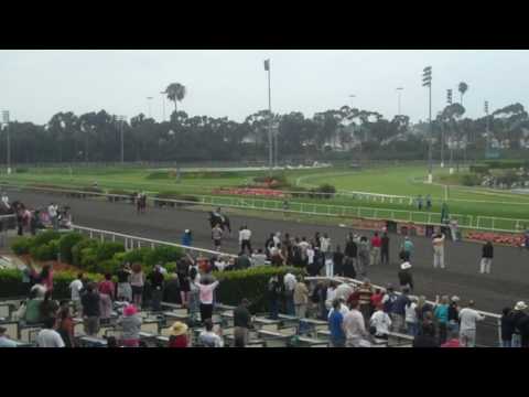 Zenyatta - After the Vanity Handicap 2010