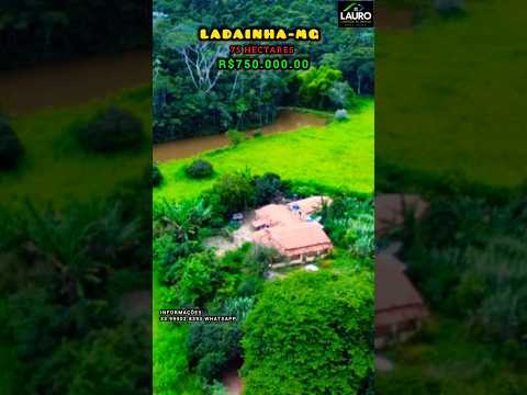 ✨️FAZENDA 15 ALQUEIRES REGIÃO POTE-MG VÍDEO ATUALIZADO COM DRONE✨️