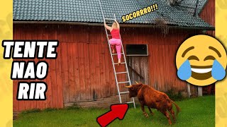 TENTE NÃO RIR IMPOSSÍVEL 🤣 4K - OS MELHORES memes e VÍDEOS ENGRAÇADOS 2025 #memes #comedia #409