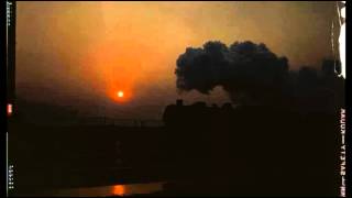 J.W. Warren - Rabbit On A Log