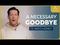 A Necessary Goodbye The Ascension Of The Lord Fr Mike S Homily Sundayhomily