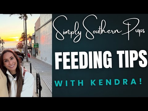How to Feed Your Puppy: Essential Tips with Kendra