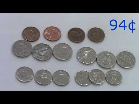 Grade 1: Saxon Math Lesson #114 Counting Dimes, Nickles, and Pennies (Canadian)