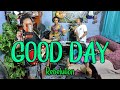 Packasz - Good Day (Rebelution cover)