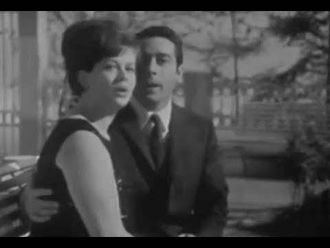 TV fragment  Gert & Hermien - Twee kleine sterren ( 1967 )