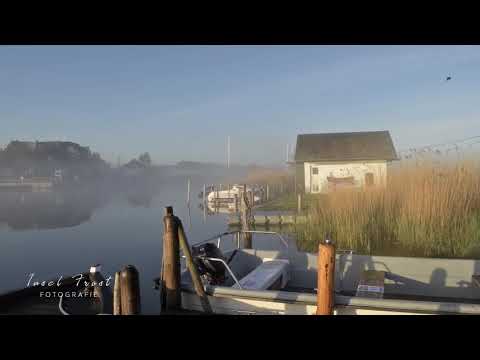 Insel Rügen: Morgennebel über der Baaber Bek