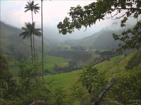 NU-Tributo a los apus