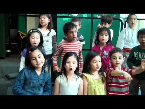 hamsters can play the piano   close up