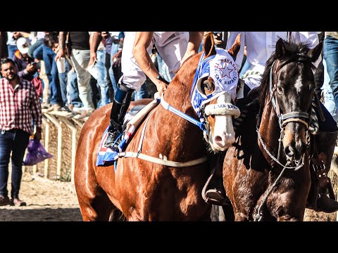 The Race of the Century | The Clown vs. Danger vs. Golden Boy, Mature Millionaire Tonalá Jalisco ...