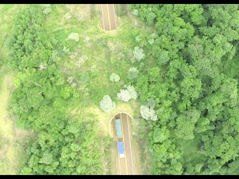 Primer Puente Para La Fauna En Latinoamérica