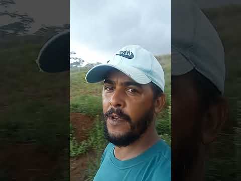 tarauaca acre só chuva