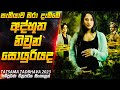අද්භූත නිවුන් සහෝදරියගේ අභිරහස😱| 2023 Movie Sinhala | Inside Ci