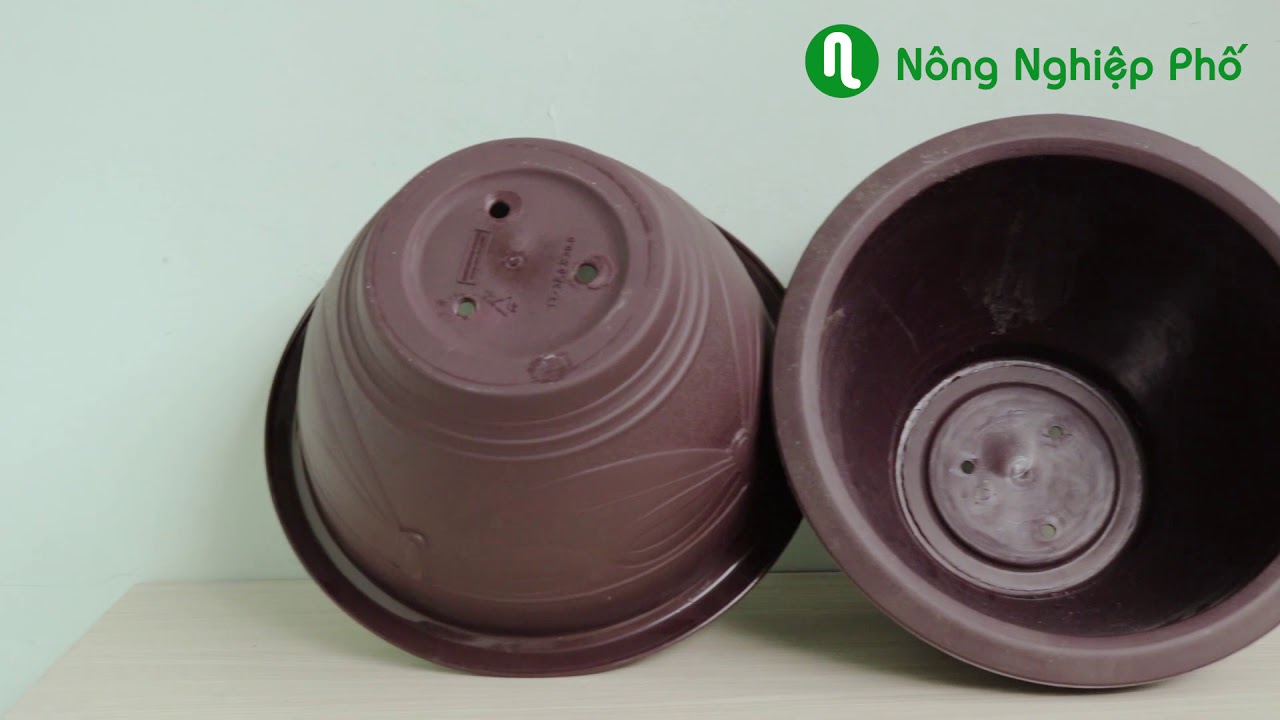 - CHẬU TRUYỀN THỐNG TRỒNG KIỂNG, BON SAI, MAI  ( THT )