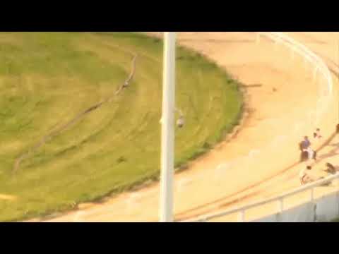 Towcester Greyhounds 14/06/20 Tuftys Delboy