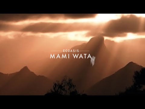 Eco Oasis - Luxury Accommodation in Tweed Valley