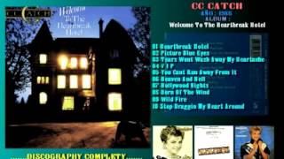 CC CATCH - HOLLYWOOD NIGHTS