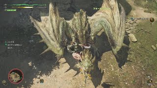 [MHWilds] 闘技大会リオレイア 片手剣ソロ 04'04″07