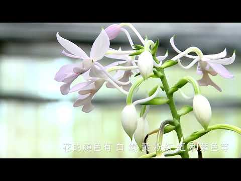 農漁行事曆 霜降