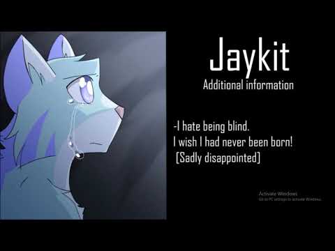 Jaykit Audition
