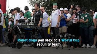 Robot dogs join Mexico's World Cup security team