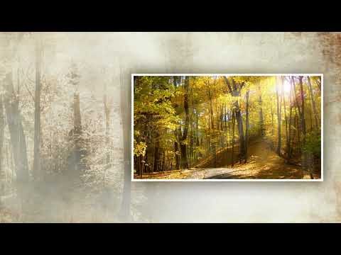 Marija Grozdanović - Moj jablane