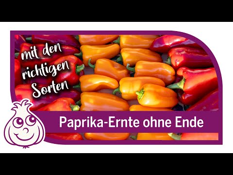 How to Grow Peppers – Pepper Madness in October