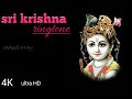 Shri Krishna Govind Hare Murari He Nath Narayan Vasudeva Bhajan Ringtone
