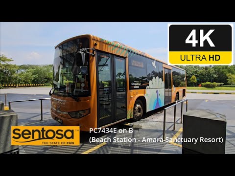 Sentosa Volvo B8RLE Euro 6 (PC7434E) on B (Beach Station Bus Terminal - Opp Amara Sanctuary Resort)