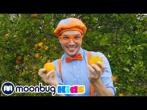 Blippi Visits an Orange Farm - Sink or Float with Fruit! Learn ABC 123 | Fun Cartoons | Moonbug Kids