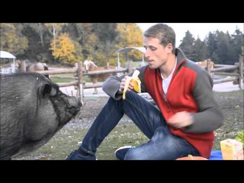 Mit Tieren essen, statt Tiere essen