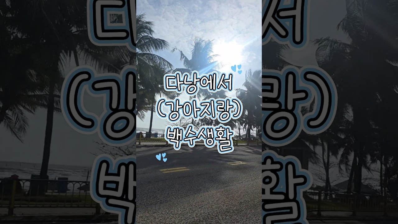 다낭백수생활 8일차 _ 나의 마음은 ?