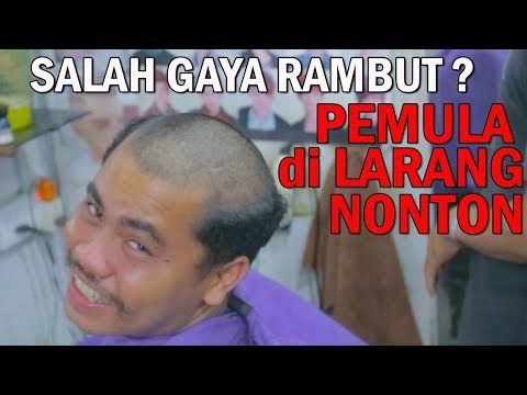 Membeli Hammer perak Thor Potensi pil farmasi