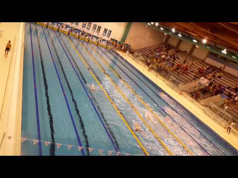 Scuccimarra, Scarpantoni, Campitelli, Di Sanza 4x50 Mx - San Marino 2016