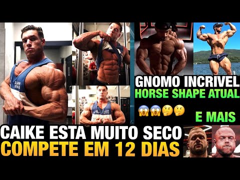CAIKE ESTÁ INSANO E VAI COMPETIR - GNOMO e HORSE ATUALIZAM + WILLIAM E BOFF