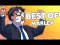 Marley S BEST OF 2025 Rainbow Six Siege