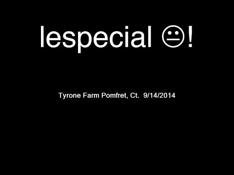 Lespecial - Full Show Live @ Tyrone Farm, Pomfret CT  9/14/2014