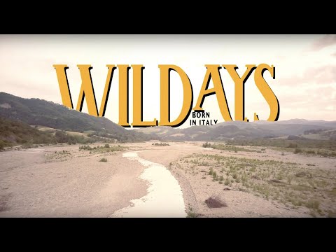 WILDAYS 2018 | Motors Music Food Nature