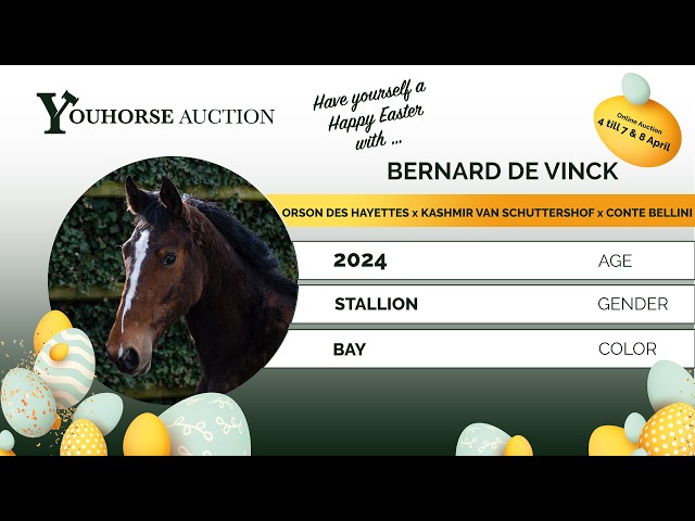 Bernard de Vinck