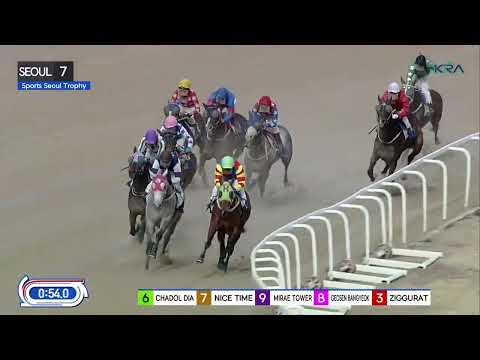 (Seoul) 2024.02.25 R7 Class Open (1400M) Special Weight A / Sports Seoul Trophy (L)