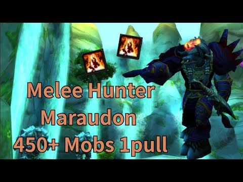 Turtle WoW - Hunter solo Maraudon 449+ mobs 1 pull.