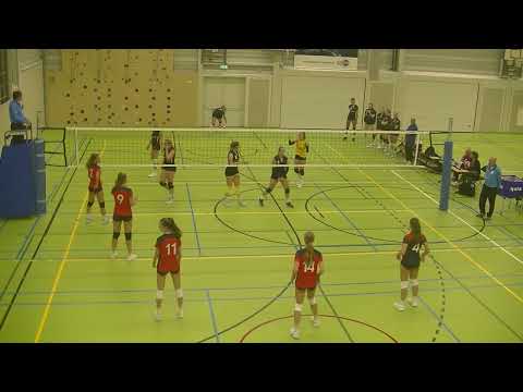 merkala d1 - taurus d1 23092023 1