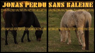Jonas perdu sans baleine - Un court-métrage de L.L. de Mars (Etel, les augures V)